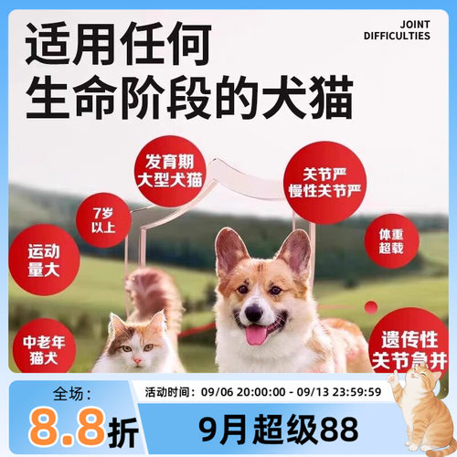 新西兰安替诺277髌骨脱位