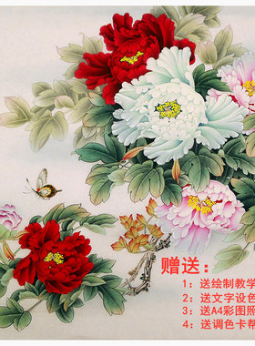 白描底稿临摹有绘制视频步骤彩图