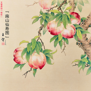 寿桃工笔画底稿白描画稿国画白描底稿临摹手勾可直接上色国画桃子