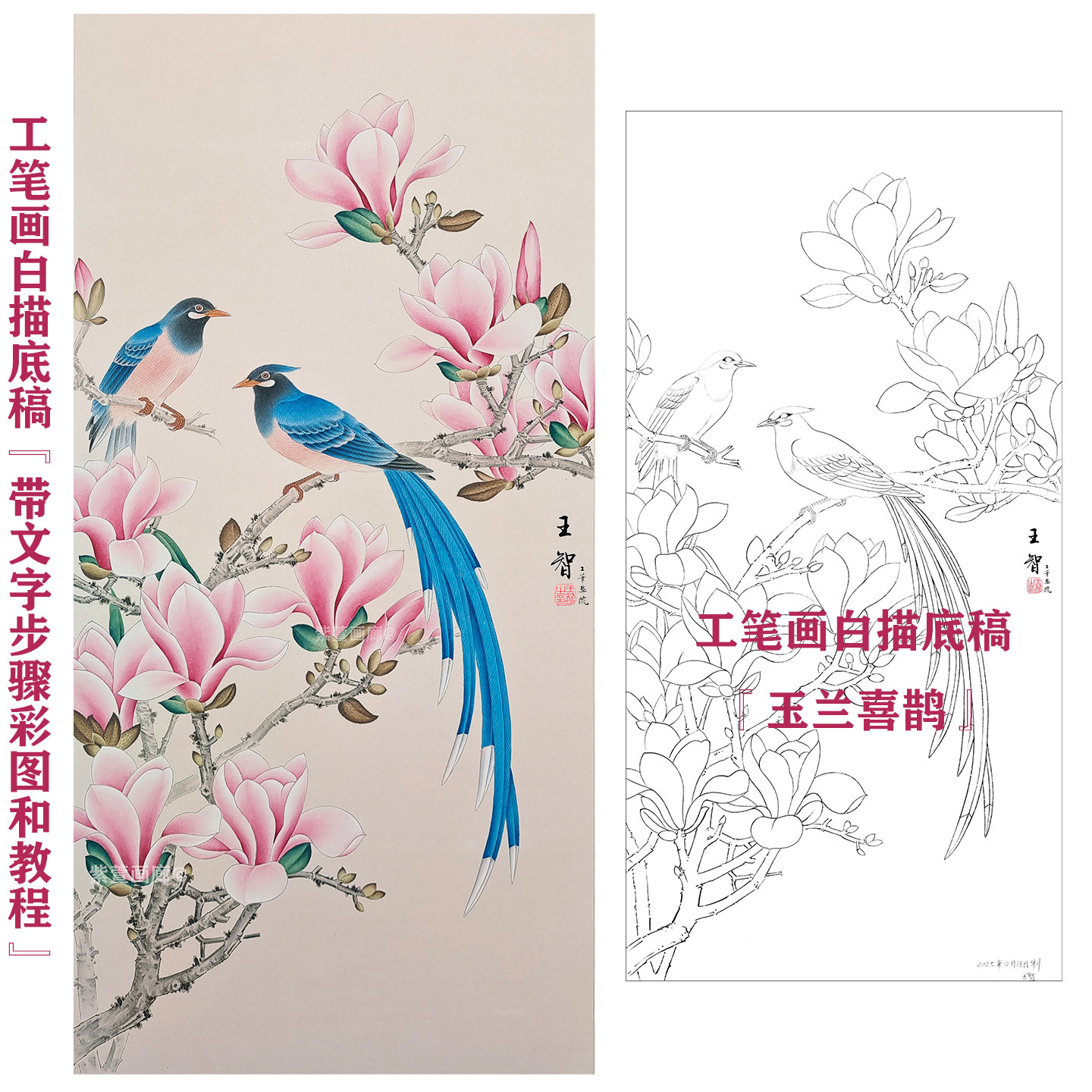 工笔画玉兰喜鹊白描底稿斗方国画临摹画稿初学线稿手勾可直接上色