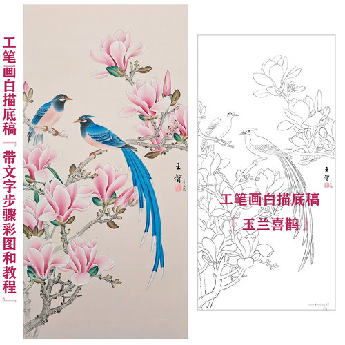 工笔画国画底稿白描画稿玉兰喜鹊