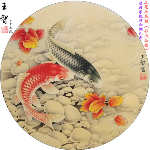 工笔画手勾熟宣线描可直接上色底稿国画初学者素材红叶鲤鱼图课程