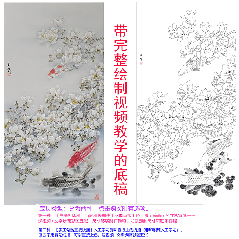工笔画白描底稿线稿手勾可直接上色国画初学者素材六尺玉兰花鲤鱼
