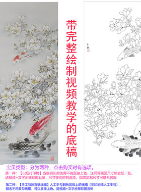 工笔画白描底稿线稿手勾可直接上色国画初学者素材六尺玉兰花鲤鱼