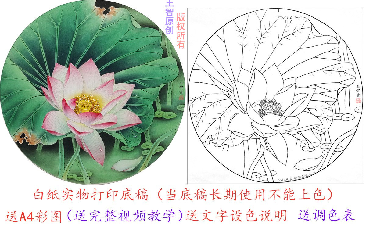 工笔画白描底稿线稿实物打印稿国画初学者素材扇面牡丹荷花葡萄,文具电教/文化用品/商务用品,书法绘画学习套装/考级套装,淘宝优惠券,粉丝福利购,淘宝优惠卷