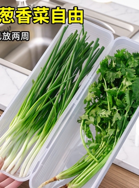 香菜小葱收纳盒冰箱芫荽整根保鲜神器加厚款面条鸡蛋备菜保鲜密封