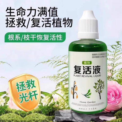 花卉营养液快速生根壮苗
