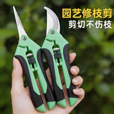 摘果剪强力修枝剪子园林稀果花艺剪葡萄水果专用剪刀蔬果采摘剪子
