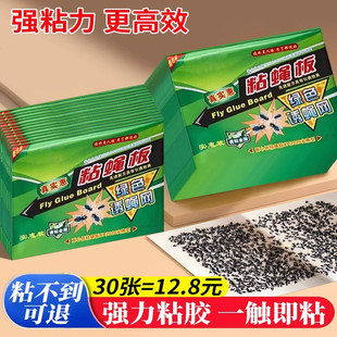 苍蝇贴强力粘苍蝇纸粘蝇板药沾蚊杀手捕捉器灭蝇子神器一扫光家用
