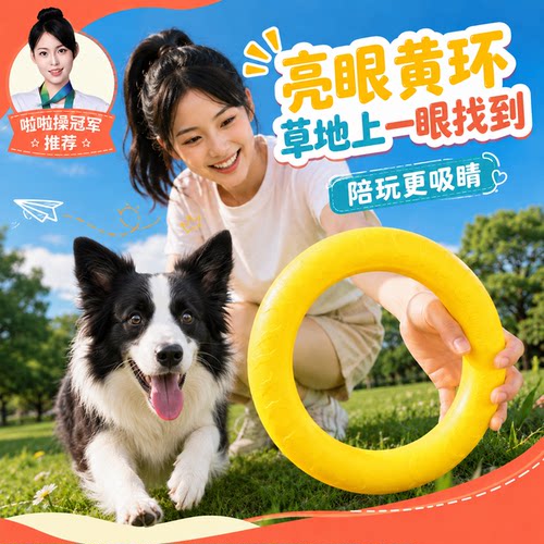 狗狗互动浮水耐咬磨牙拉环球