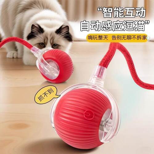 猫玩具猫咪智能逗猫球趣味自娱