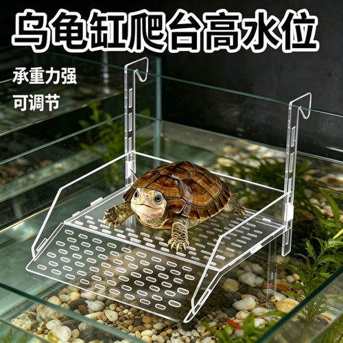 乌龟晒台亚克力深水晒背爬台壁挂式透明造景爬梯高水位休息浮台