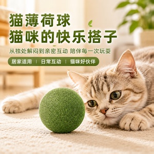猫玩具超大猫薄荷球自嗨解闷神器