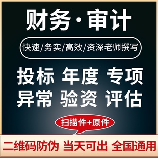 公司投标财务审计咨询验资清算报表年度报告培训离任高新专项资料