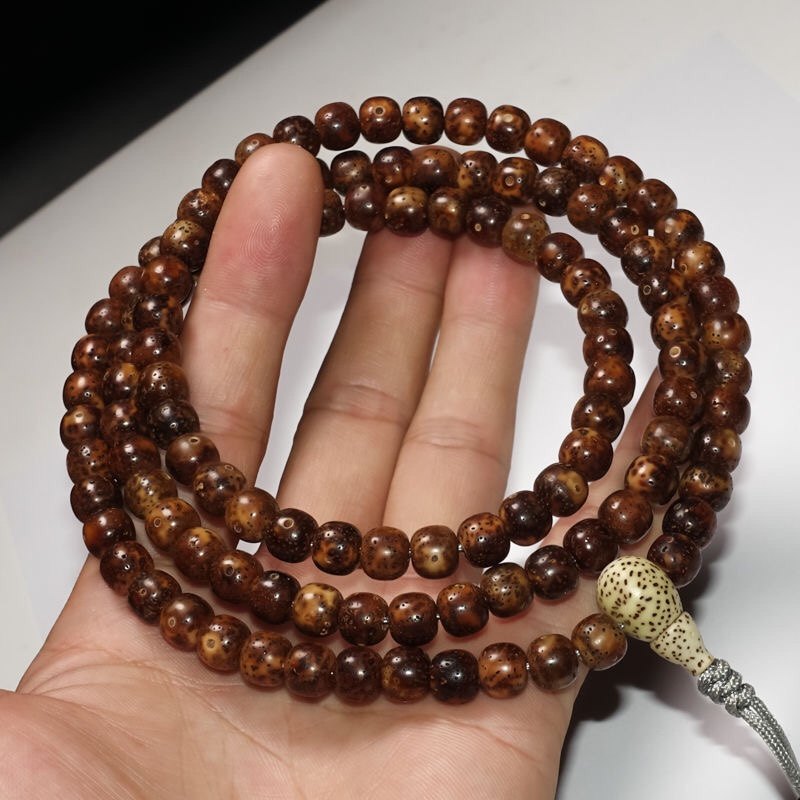 星月菩提子陈籽老籽玉化料子正月