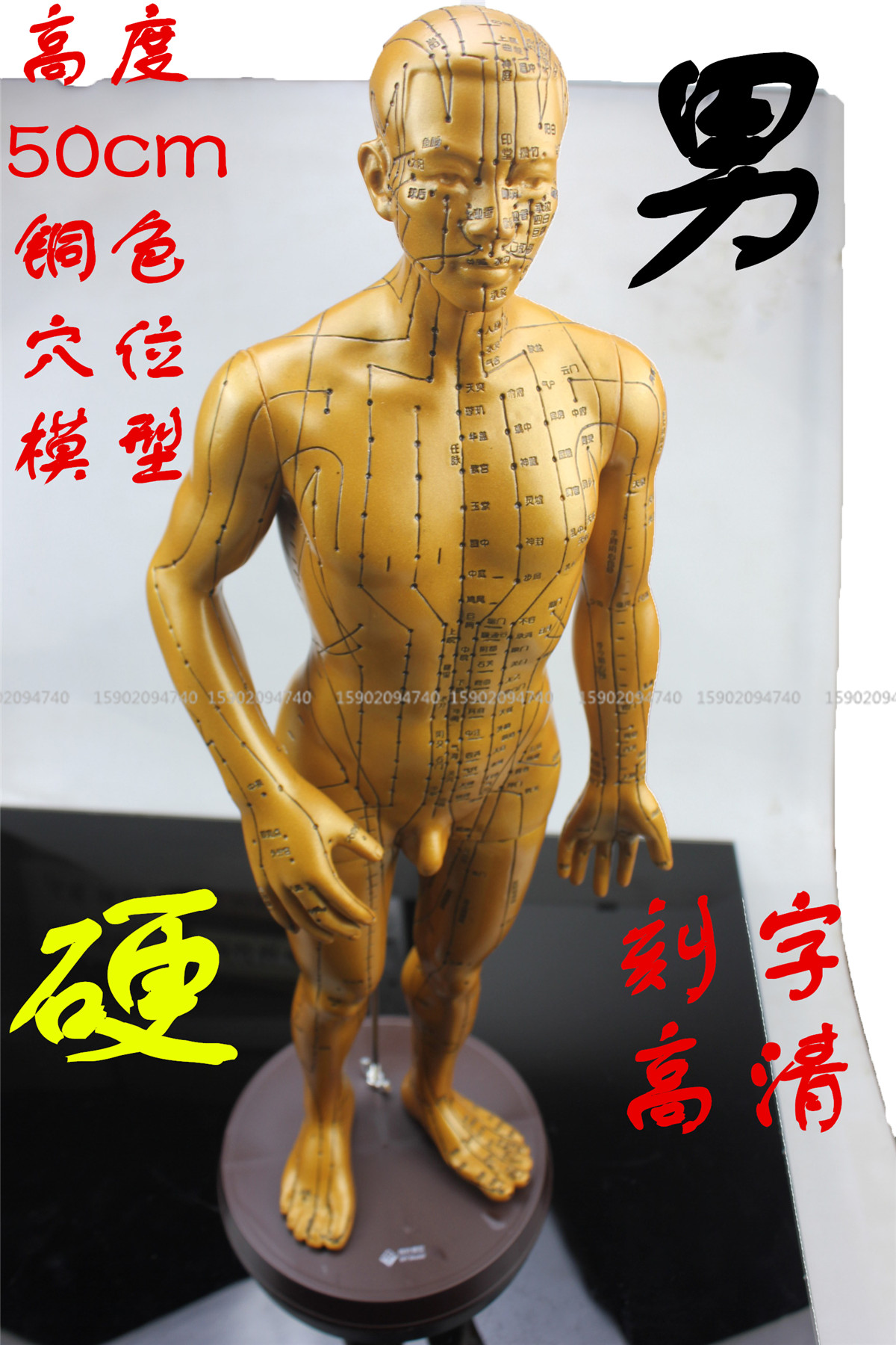 针灸铜人刻字人体穴位模型男性推拿按摩教学高清硬模型