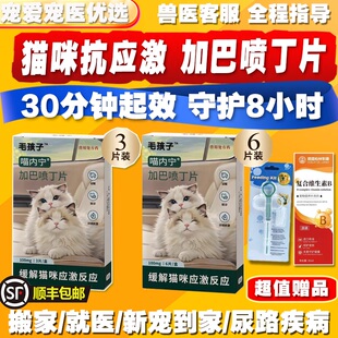 毛孩子加巴喷丁猫用片剂猫咪舒缓情绪抗应激药尿闭止痛喵内宁