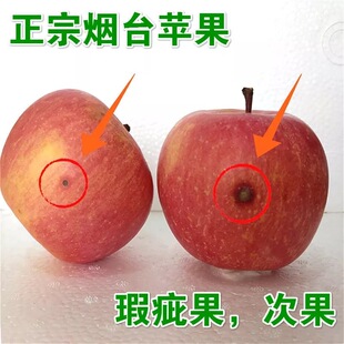 山东烟台苹果瑕疵果捡漏适合自己吃脆甜抱汁净重9斤产地果农直发