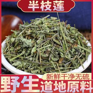 野生半枝莲中药材500克 另售新鲜白花蛇舌草铁树叶半枝连韩信草药