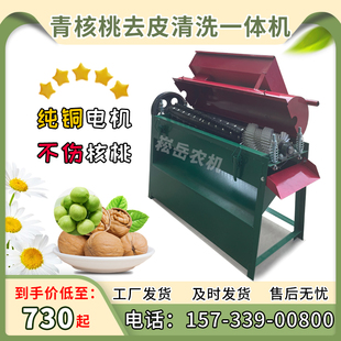 商用青核桃去皮清洗一体机小型核桃脱皮机去皮机家用青核桃剥皮机