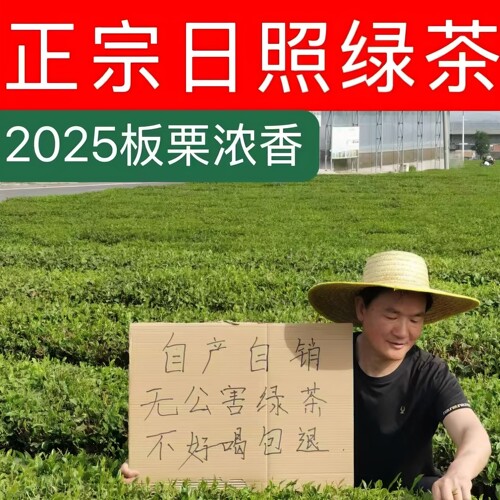 日照绿茶板栗香炒青绿茶春茶新茶