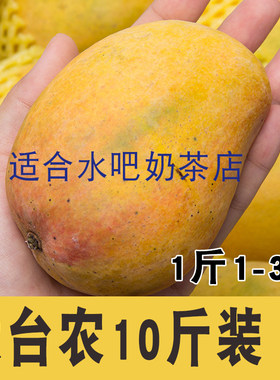 思乡味品广西百色大台芒