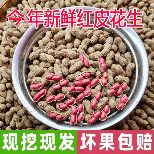思乡味品红皮花生产地直发