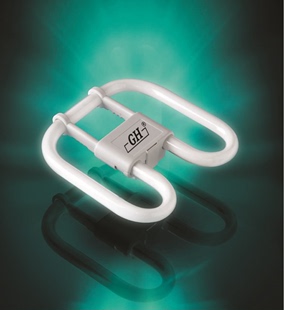 38w白光厕所灯纯三基色2D型四针 28w 厨房卫生间蝴蝶灯管ydw 21w