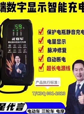 数显自动断电电动车电瓶车充电器48V60V72V20AH两轮三轮电车通用