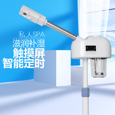泰东智能升级款热喷蒸脸