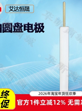 艾达恒晟铂圆盘电极Pt105 Pt110 Pt120 Pt130 Pt140 Pt150 Pt160