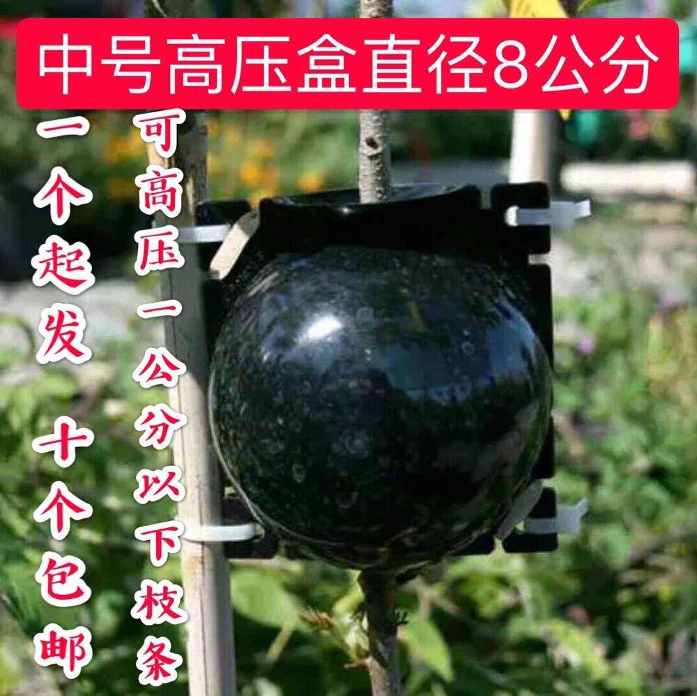 繁殖二代环球花园新款控根特大黑色塑料加厚嫁接高位植物高压盒|ruв категории доставка цветов/цветок моделирования/растения садоводства, садовых принадлежностей, других садовых принадлежностей - от Buy2taobao.com для оказания профессиональной услуги покупки агента Taobao