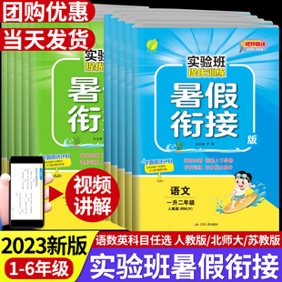 北师大同步专项练习提优训练一年级暑假作业 2023新版 实验班暑假衔接一升二年级下册三升四升五升六年级上册语文数学英语全套人教版