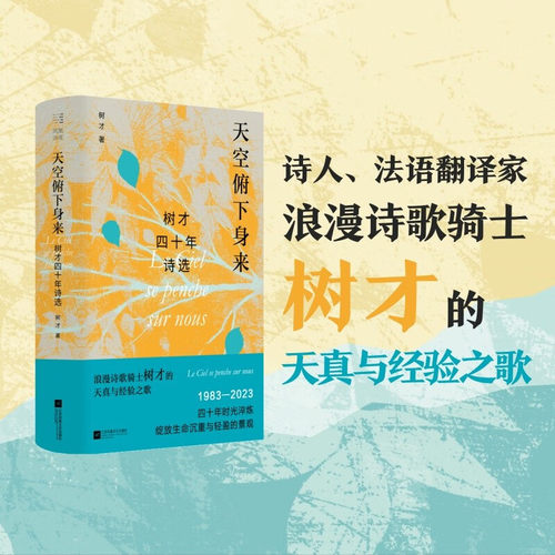 天空俯下身来树才四十年诗选