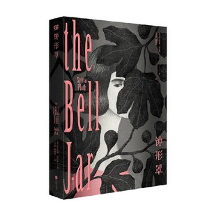 钟形罩 西尔维娅·普拉斯 著 小说