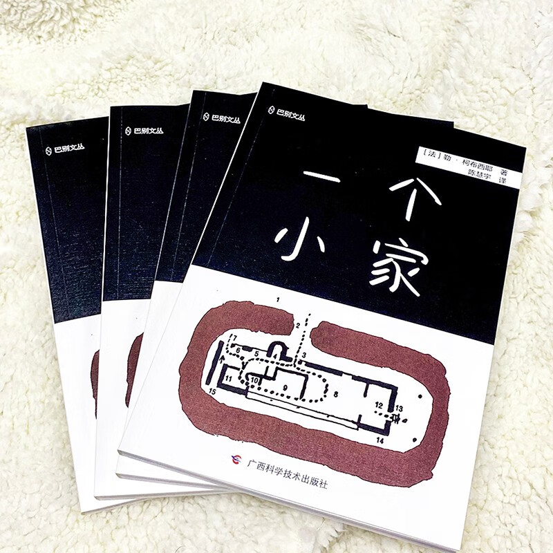 一个小家 勒·柯布西耶 著 建筑