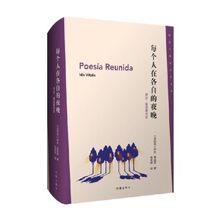 每个人在各自的夜晚 伊达 维塔莱诗选 伊达·维塔莱 著 诗歌