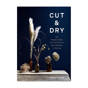 饰艺术 干花室内装 干花制作布置指南 Cut&Dry 英文原版