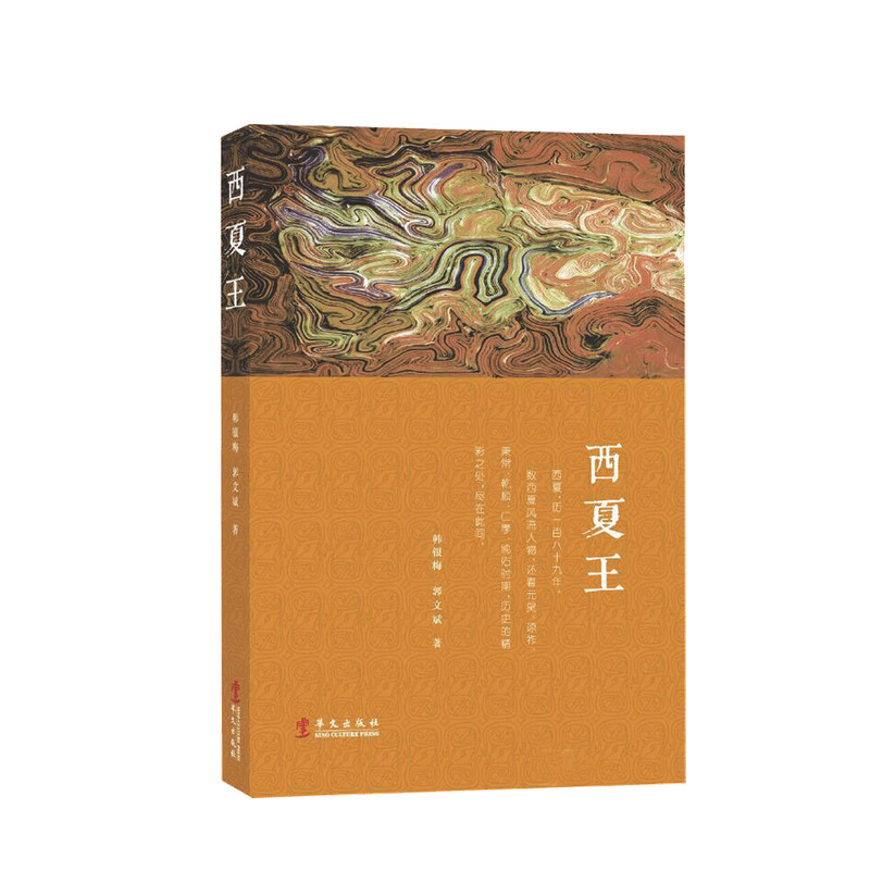 西夏王 韩银梅 郭文斌 著 中国社科历史书籍
