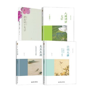 唐宋词十七讲 美玉生烟 人间词话七讲 小词大雅 叶嘉莹 著 诗歌词曲