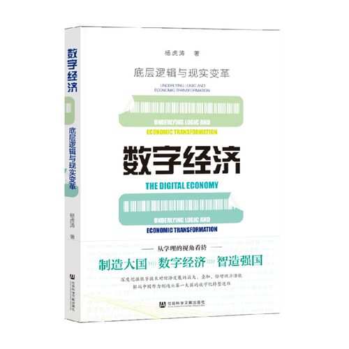 数字经济 底层逻辑与现实变革 杨虎涛 著 经济