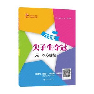 尖子生夺冠 二元一次方程组 六年级 刘弢 著 中小学教辅