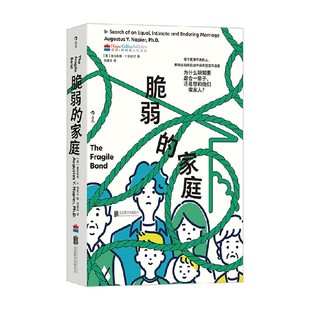 脆弱的家庭 奥古斯都·Y. 纳皮尔 著 心理学