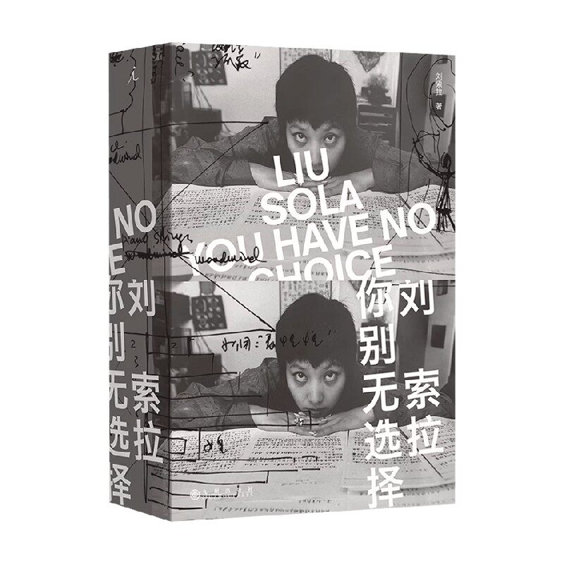 刘索拉你别无选择小说