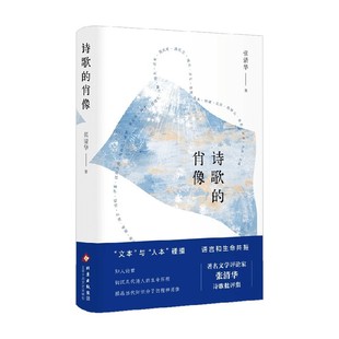 诗歌的肖像 张清华 著 文学研究