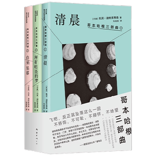 哥本哈根三部曲 托芙·迪特莱弗森 著 小说