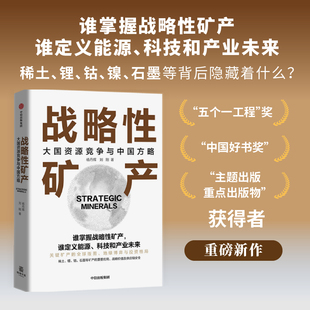 战略性矿产 大国资源竞争与中国方略 杨丹辉 著 经济 预售
