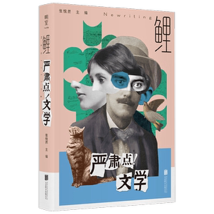 鲤 严肃点 文学 张悦然 编著 文学理论