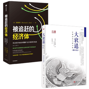 被追赶的经济体+大衰退 宏观经济学的圣杯辜朝明著 经济学理论