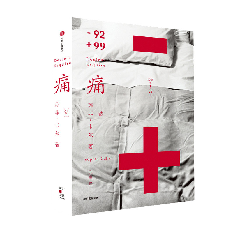 痛苏菲卡尔 著 哈苏摄影奖获得者 法国先锋艺术家作品 爱与痛的行为艺术 失恋 痛苦 疗愈